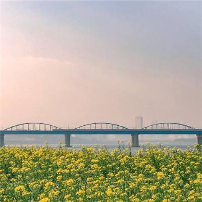 上海机场联络线15标动走双线特大桥钢桁梁桥主体架设完成